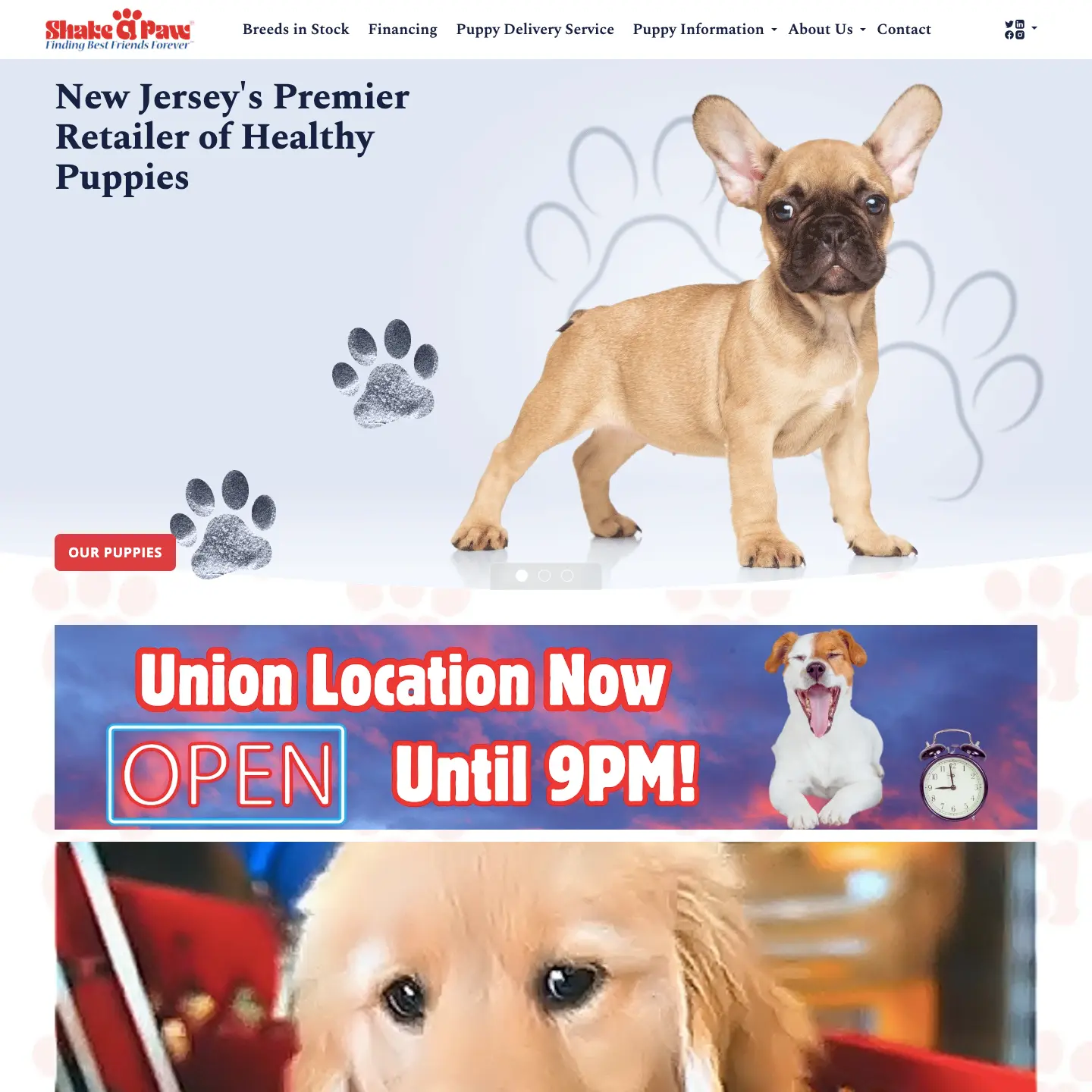 Online Pet Store Portfolio | New Jersey, USA